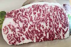 Pecuaria - Carne Bovina de Calidad Superior/High Quality Beef (HQB)