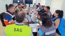 Establecerán dos puestos de campaña para atención de animales afectados por incendios forestales en Biobío  